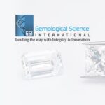 GSI Celebrates 20th Anniversary with Major Global Expansion and Service Upgrades