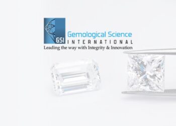 GSI Marks 20 Years with Global Expansion and Enhanced Services