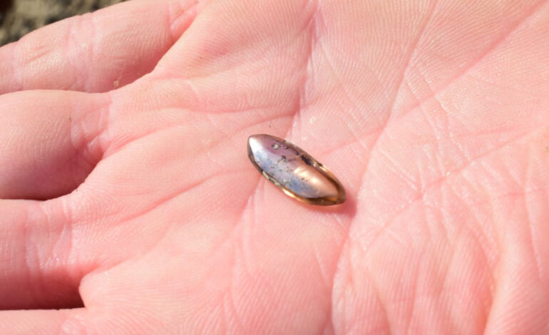 Oklahoma Family Discovers 2.79-Carat Diamond at Arkansas’ Crater of Diamonds State Park
